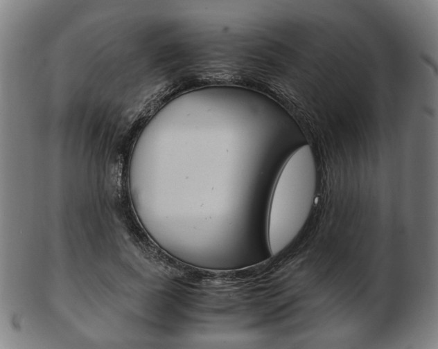 X0000103480739200809120928