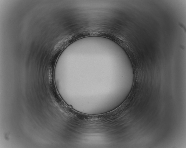 X0000103480740200809120928