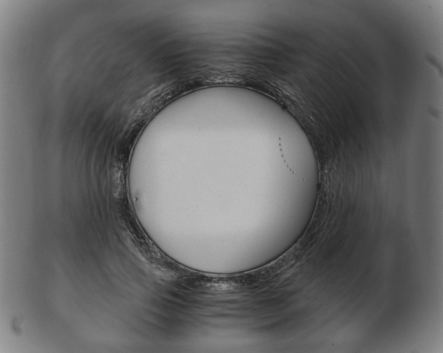 X0000103480741200809120928