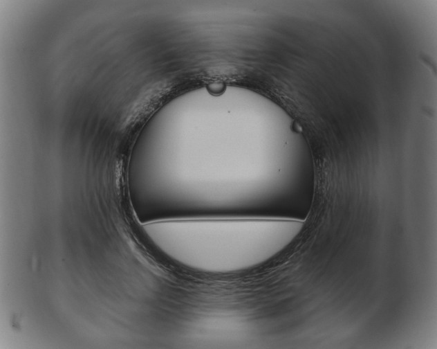 X0000103480742200809120928