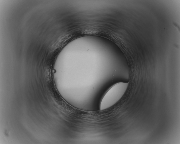 X0000103480743200809120928