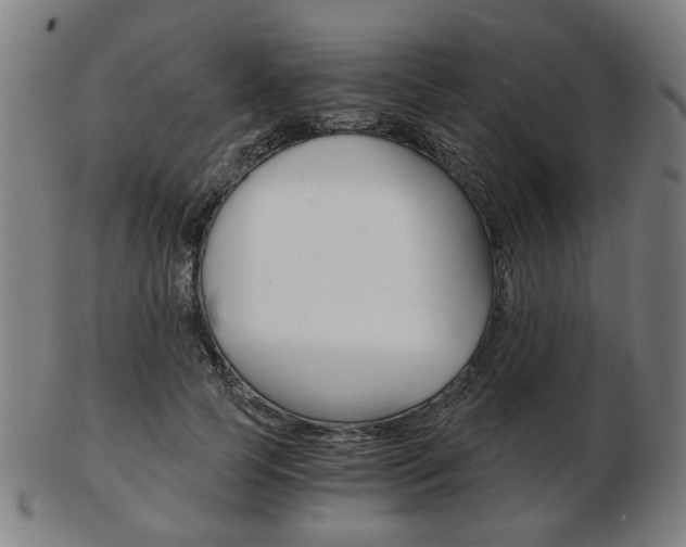 X0000103480745200809120928