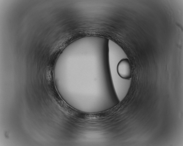 X0000103480746200809120928