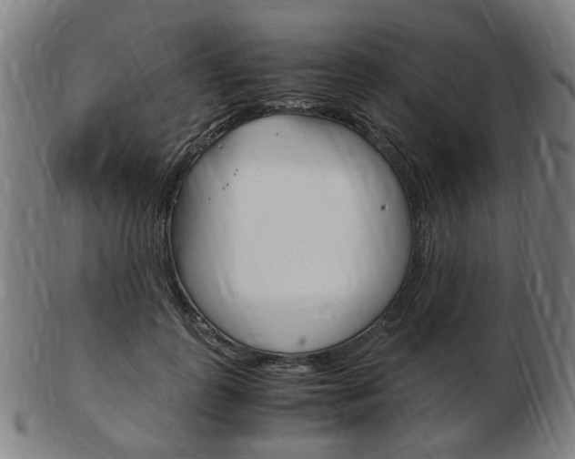 X0000103480747200809120928