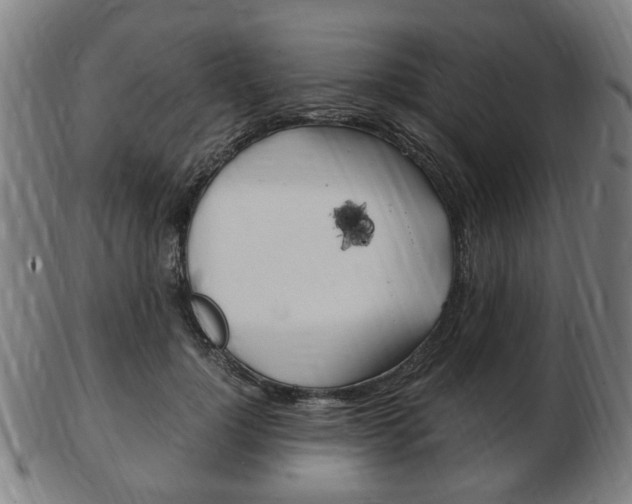 X0000103480748200809120928