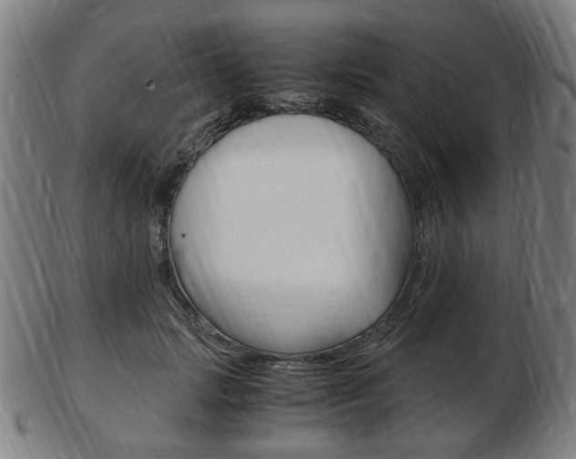 X0000103480749200809120928