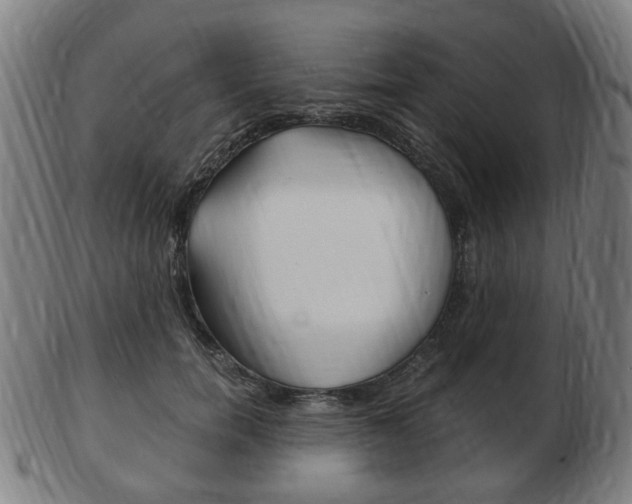 X0000103480750200809120928