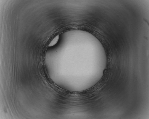 X0000103480751200809120928