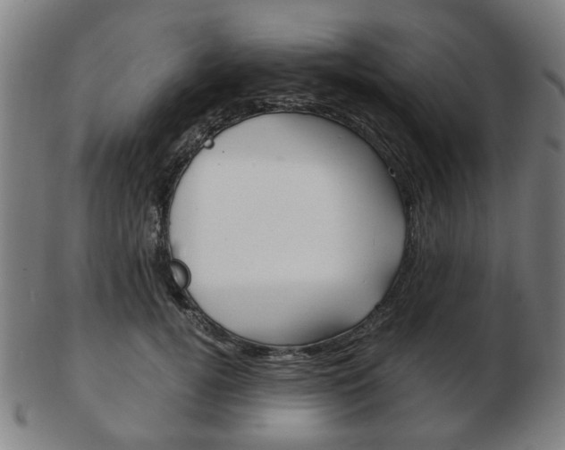 X0000103480752200809120928