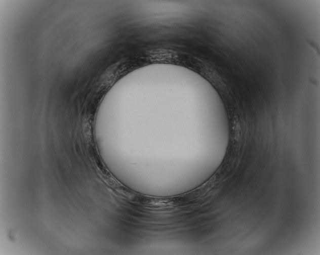 X0000103480753200809120928