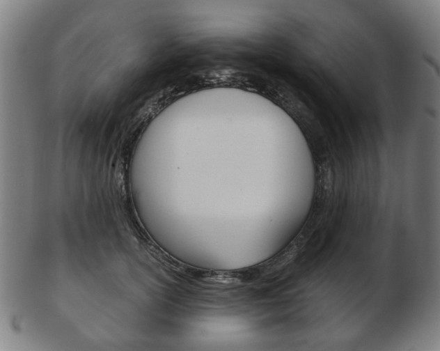 X0000103480754200809120928