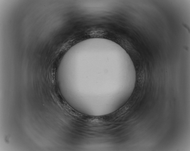 X0000103480755200809120928