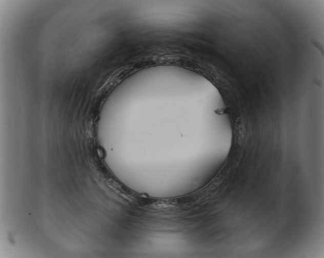 X0000103480756200809120928