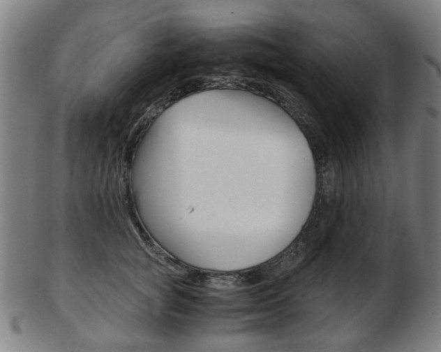 X0000103480757200809120928