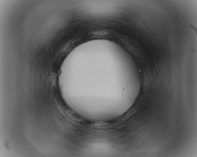 X0000103480758200809120928