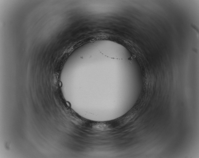 X0000103480759200809120928