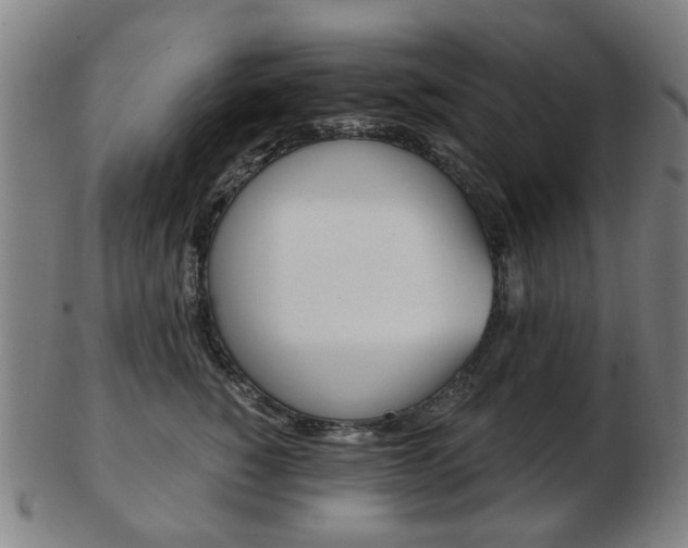 X0000103480760200809120928