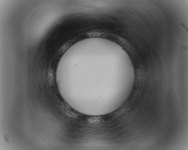 X0000103480761200809120928
