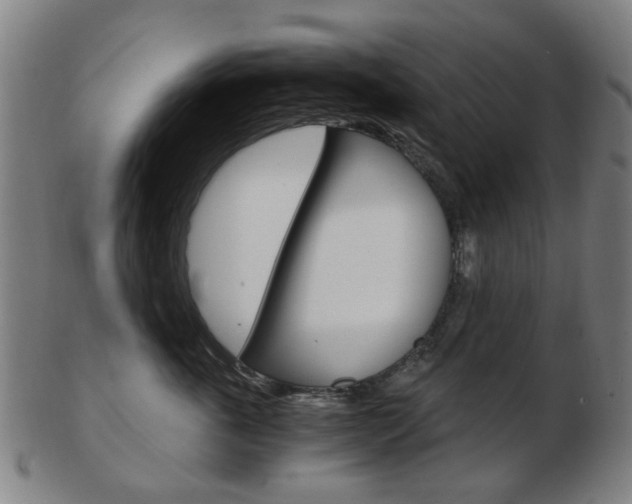 X0000103480763200809120928