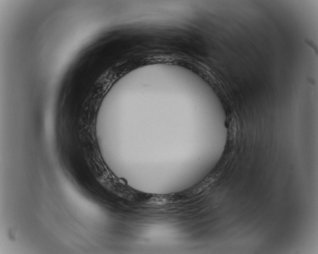X0000103480764200809120928