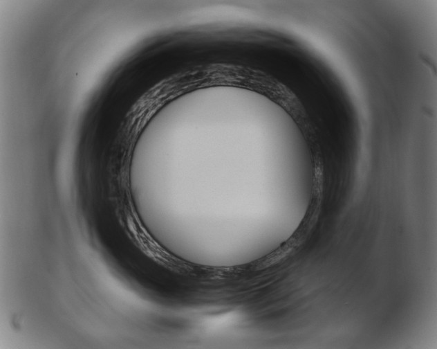 X0000103480765200809120928