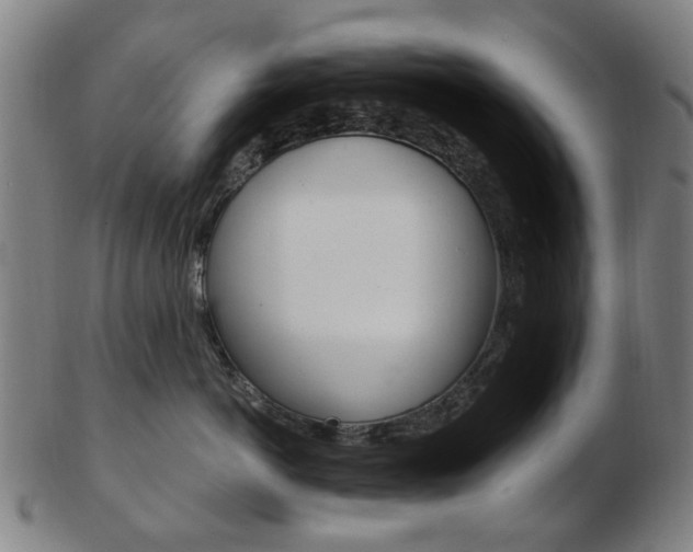 X0000103480766200809120928