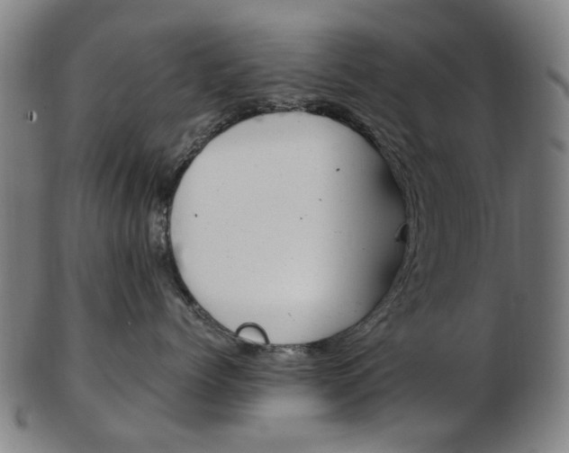 X0000103480768200809120928