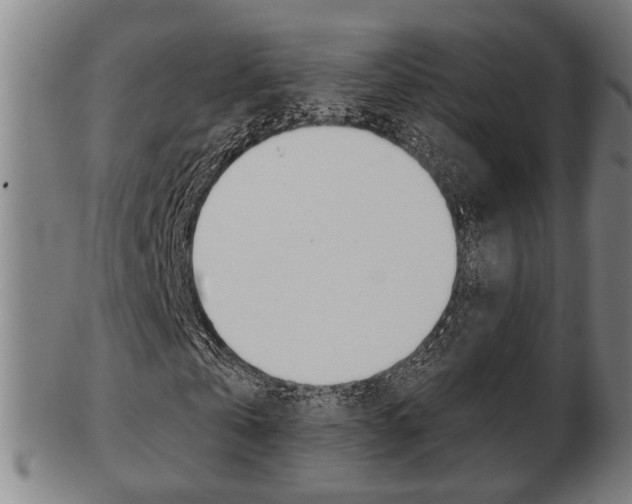 X0000103480769200809120927
