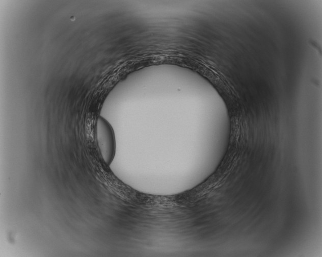 X0000103480770200809120927