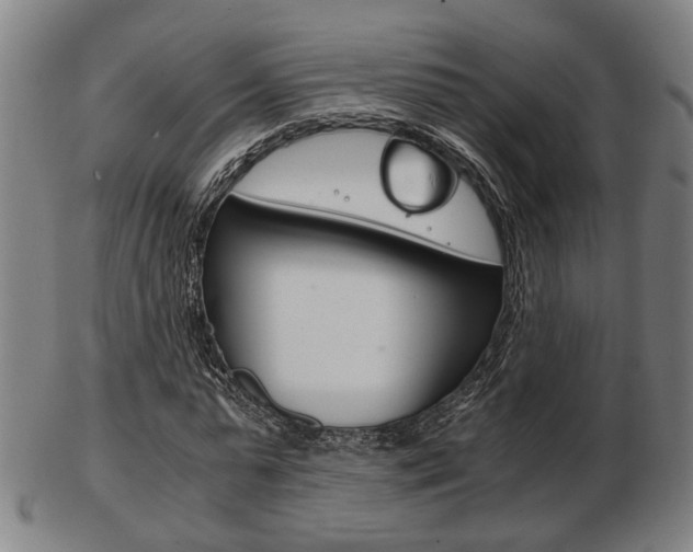 X0000103480775200809120927