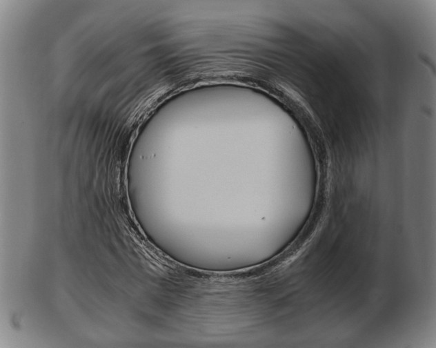 X0000103480777200809120927