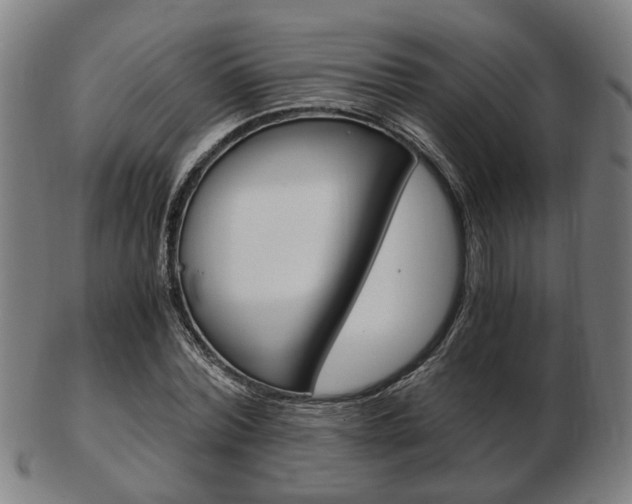 X0000103480780200809120927