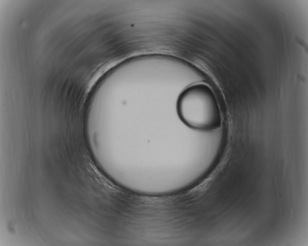 X0000103480781200809120927