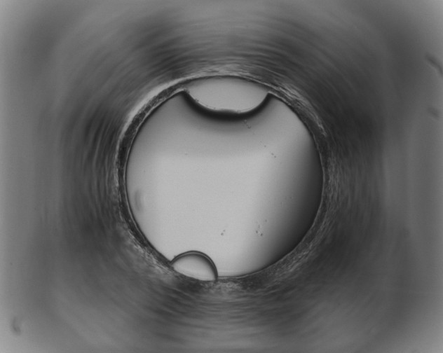 X0000103480784200809120927