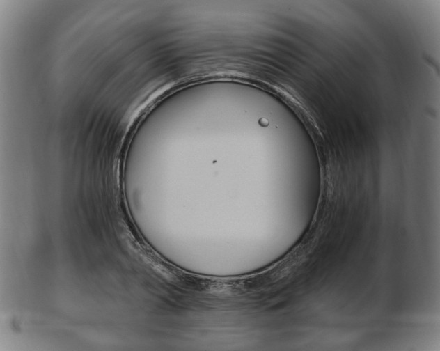 X0000103480790200809120927