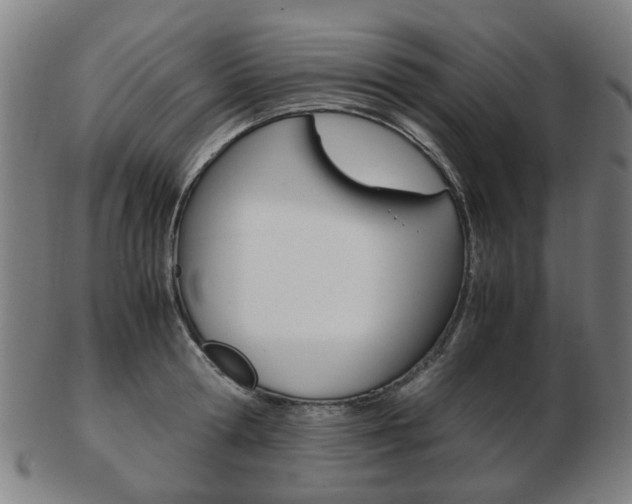 X0000103480802200809120927