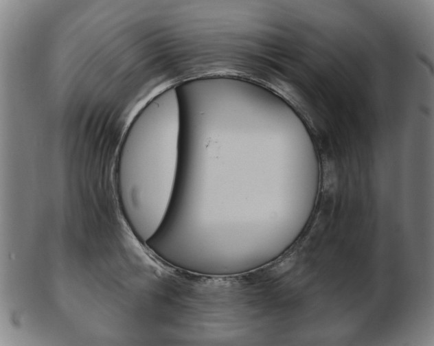 X0000103480806200809120927