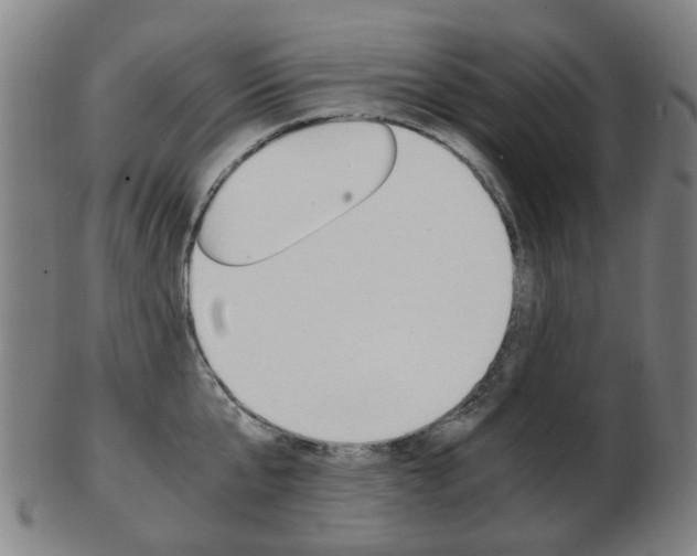 X0000103480807200809120927
