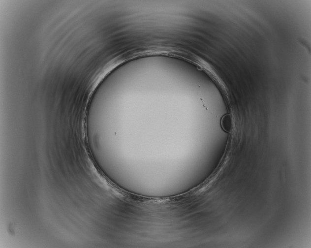 X0000103480810200809120927