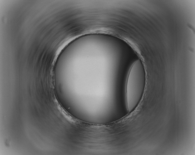 X0000103480816200809120926