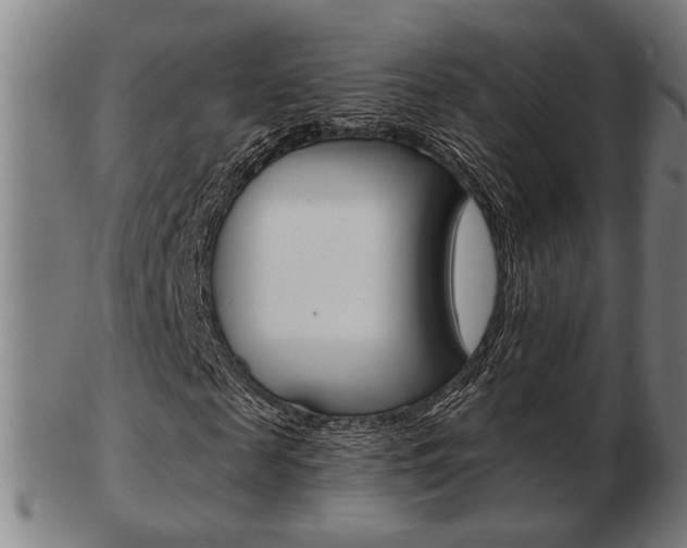 X0000103480817200809120926
