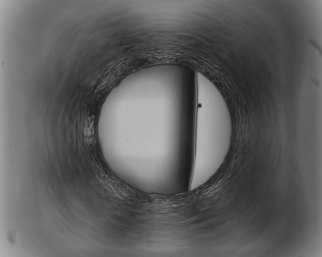 X0000103480818200809120926