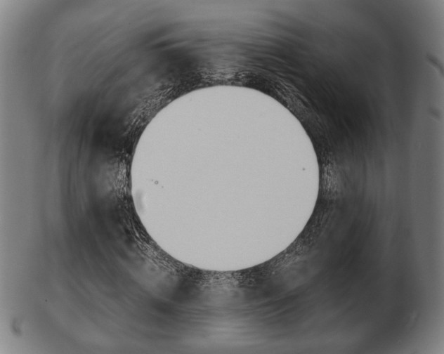 X0000103480820200809120926