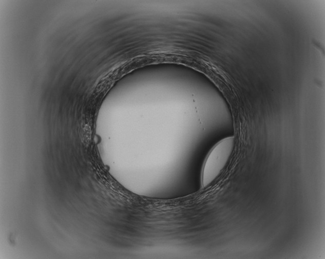 X0000103480821200809120926