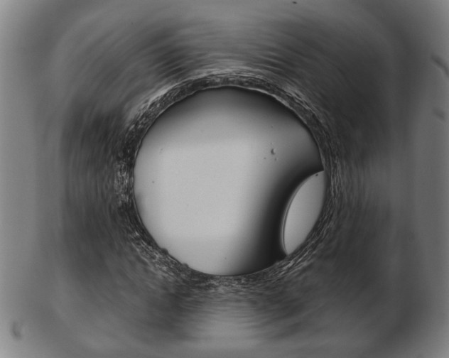 X0000103480822200809120926