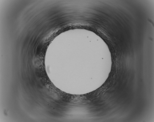 X0000103480824200809120926
