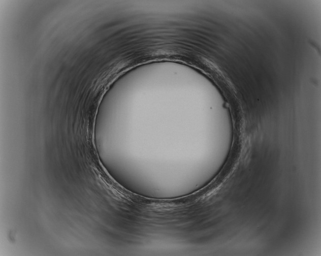 X0000103480825200809120926