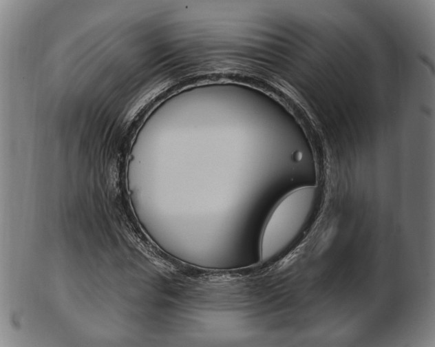 X0000103480826200809120926