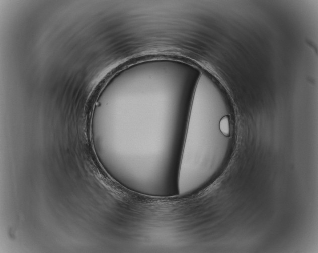 X0000103480830200809120926