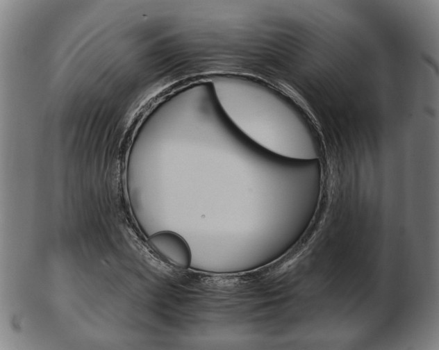 X0000103480831200809120926